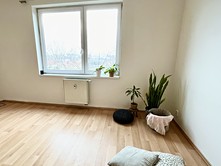 Pronájem bytu 1+kk 33 m² (Jednopodlažní)